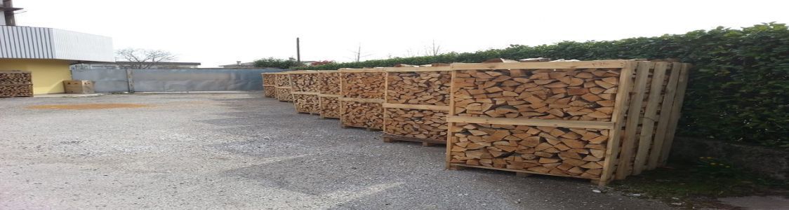 TRANSILVANIA BioEnergy Srl